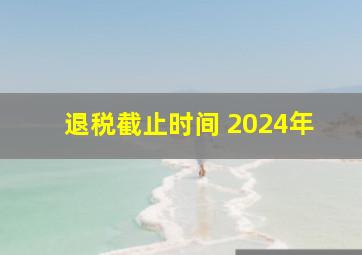 退税截止时间 2024年